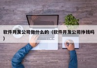 软件开发公司做什么的（软件开发公司挣钱吗）