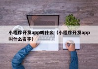 小程序开发app叫什么（小程序开发app叫什么名字）