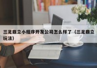 三足鼎立小程序开发公司怎么样了（三足鼎立玩法）