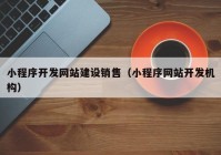 小程序开发网站建设销售（小程序网站开发机构）