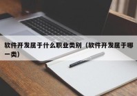 软件开发属于什么职业类别（软件开发属于哪一类）